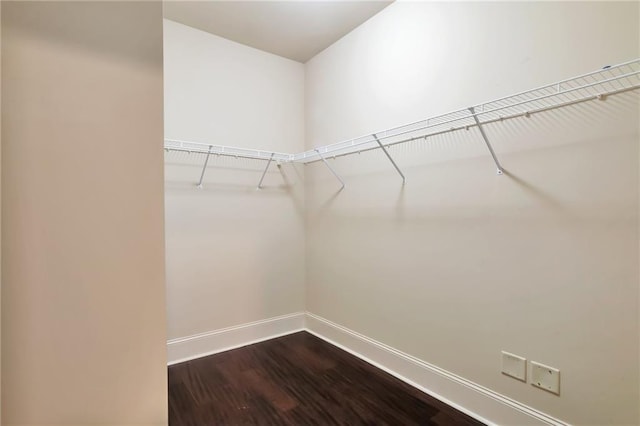 30 Lismore Way, Newnan, GA 30263 - spacious closet with dark wood-style floors