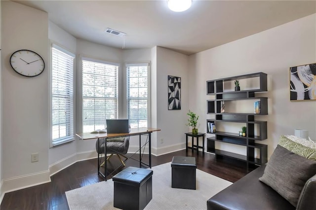 30 Lismore Way, Newnan, GA 30263 - office featuring plenty of natural light, baseboards, and wood finished floors