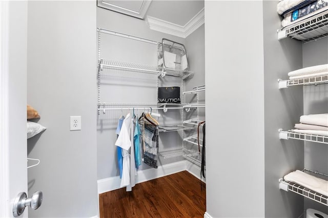 spacious closet with wood finished floors