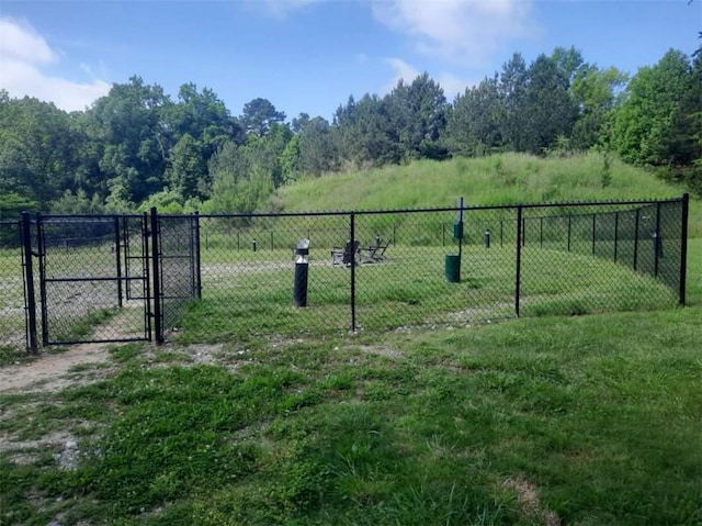 view of yard featuring a gate