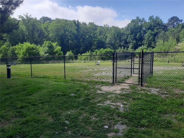 view of yard featuring a gate