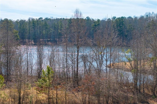 view of water feature