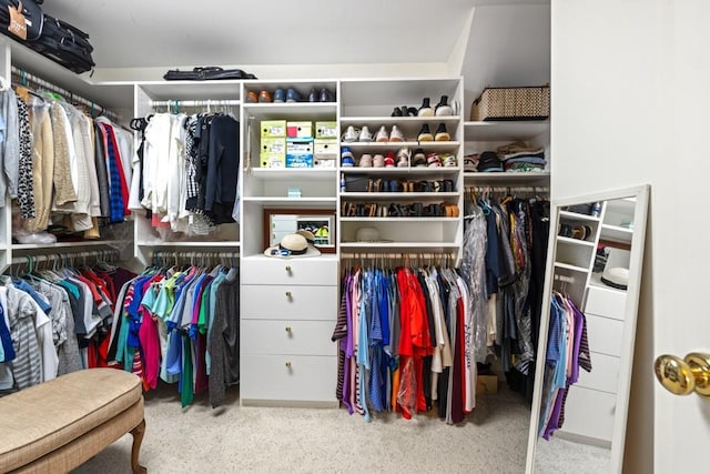 view of spacious closet