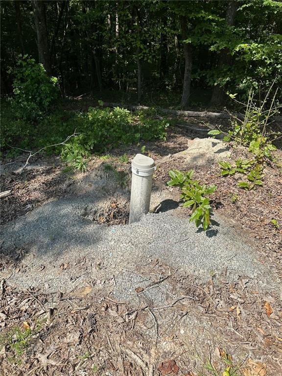 134 Cicero Trl, Dawsonville, GA 30534 - view of yard