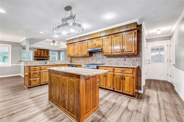 kitchen with light hardwood / wood-style floors, stainless steel range oven, kitchen peninsula, and a center island