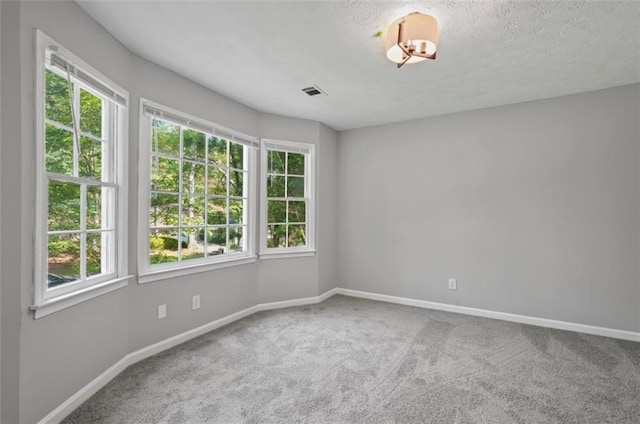 800 Post Road Cir, Stone Mountain, GA 30088 - unfurnished room with plenty of natural light, carpet flooring, baseboards, and a textured ceiling