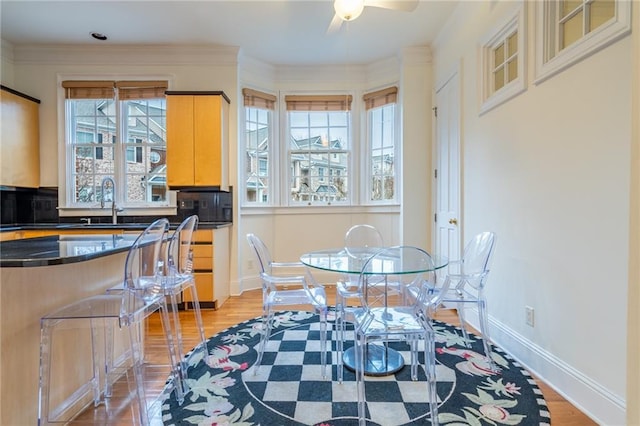 dining space featuring ceiling fan, ornamental molding, sink, and light hardwood / wood-style floors