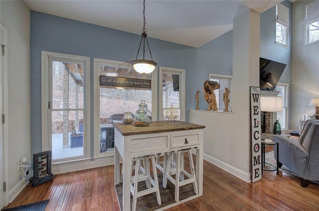 dining space with hardwood / wood-style flooring