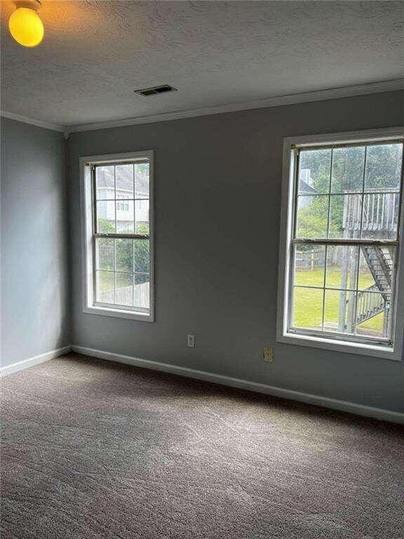 empty room with crown molding, carpet flooring, and a textured ceiling