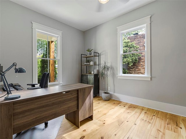 office space featuring light wood-style floors, baseboards, ceiling fan, and a wealth of natural light