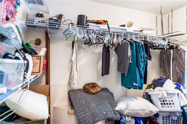 404 Summerchase Way, Woodstock, GA 30189 - view of spacious closet