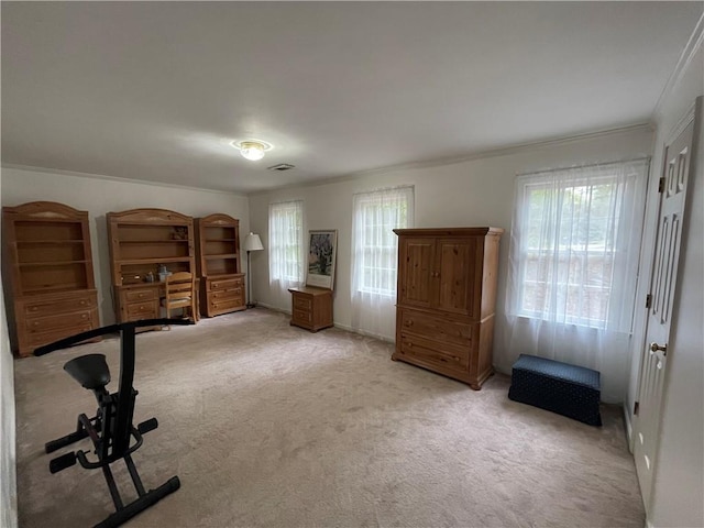 workout area with a wealth of natural light, ornamental molding, and light colored carpet