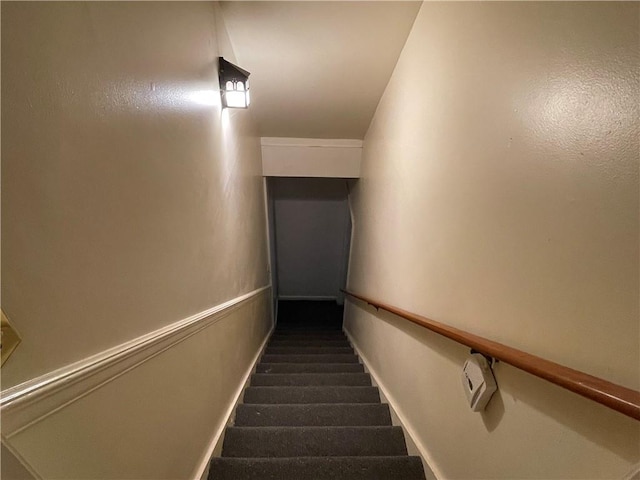 stairs featuring carpet flooring