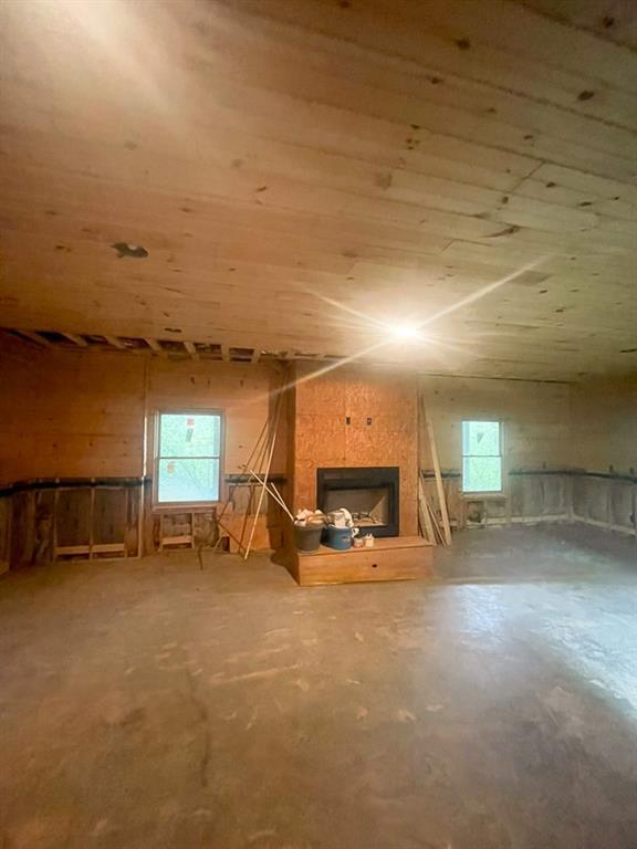8072 Doublehead Gap Rd, Blue Ridge, GA 30513 - view of sauna / steam room