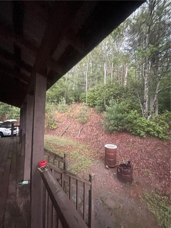 8072 Doublehead Gap Rd, Blue Ridge, GA 30513 - view of yard