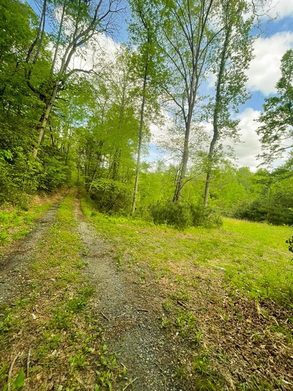 8072 Doublehead Gap Rd, Blue Ridge, GA 30513 - view of unfinished attic