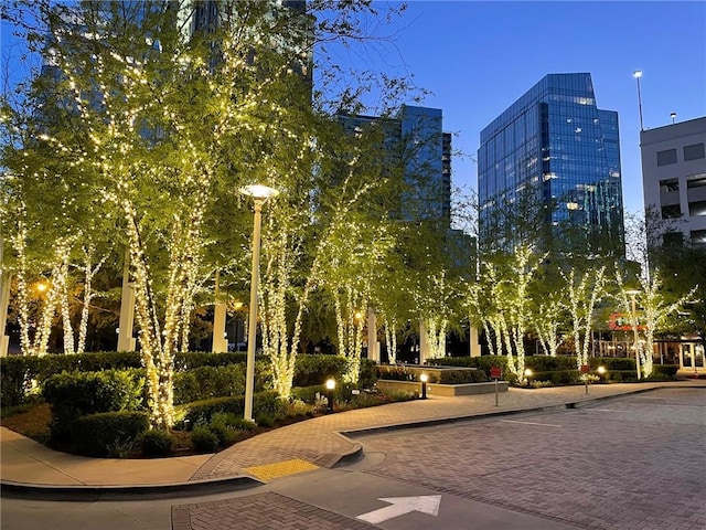 3324 Peachtree Rd NE Unit 1115, Atlanta, GA 30326 - surrounding community