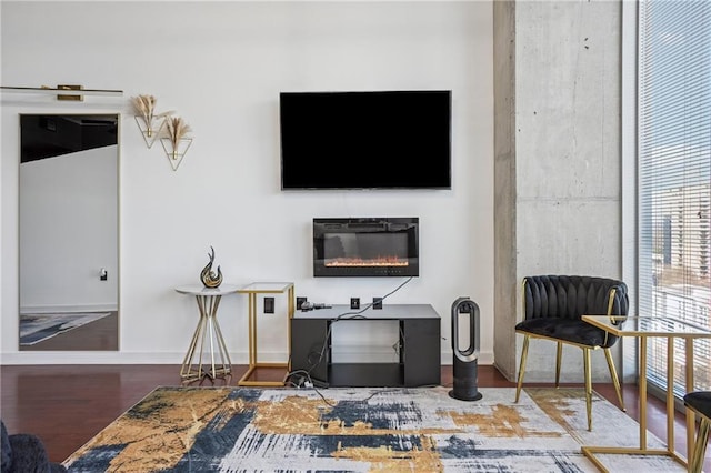 living area with a glass covered fireplace and wood finished floors