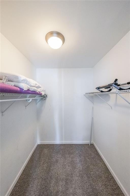 spacious closet with carpet floors