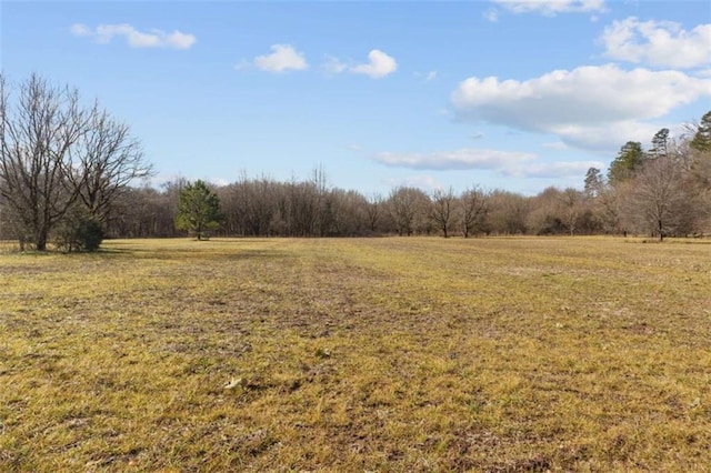 view of yard featuring a rural view