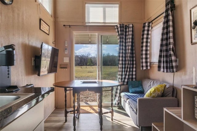 interior space featuring a wealth of natural light and light wood-style flooring