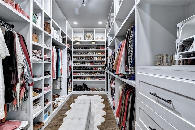 spacious closet featuring dark wood-type flooring