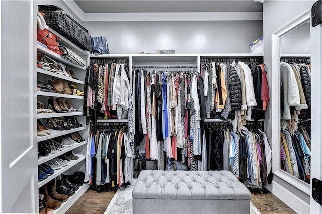 spacious closet featuring wood-type flooring