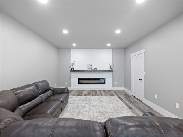 living room featuring wood-type flooring