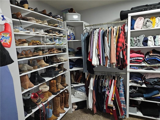 spacious closet with carpet