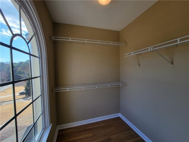 spacious closet with dark wood-style flooring