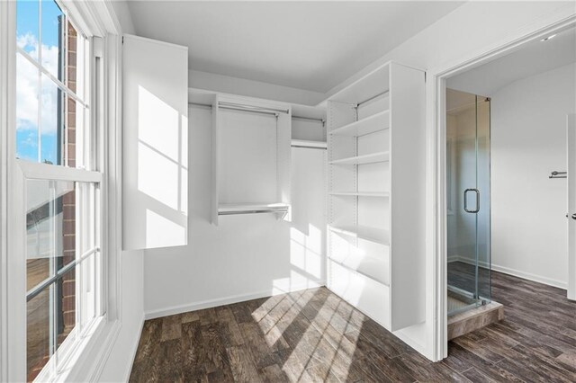 4120 Lakeside Blvd, Monroe, GA 30655 - spacious closet featuring dark wood finished floors