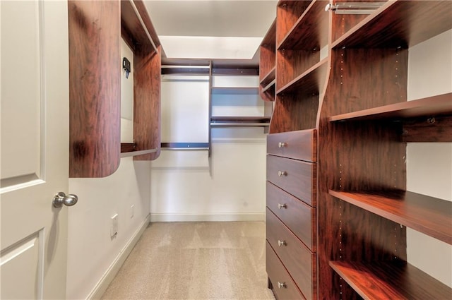 walk in closet with light colored carpet