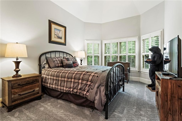 31 Brownson Ct, Acworth, GA 30101 - bedroom with baseboards, a high ceiling, and carpet flooring