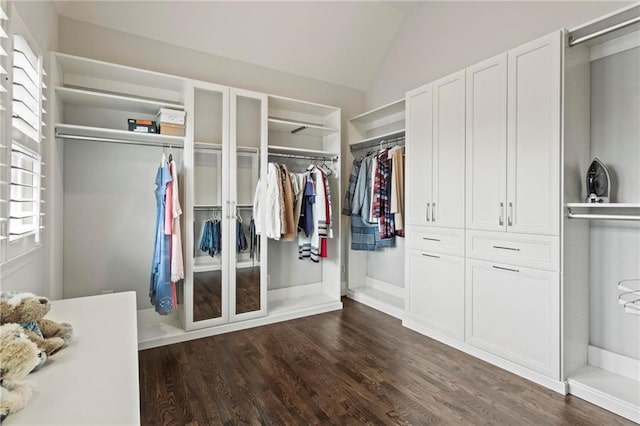 31 Brownson Ct, Acworth, GA 30101 - spacious closet featuring dark wood-style flooring and vaulted ceiling