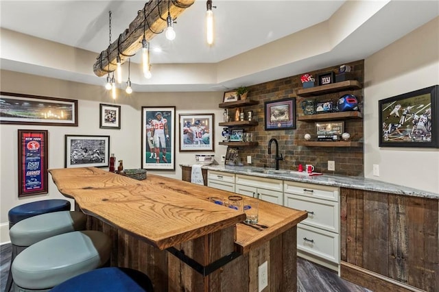 31 Brownson Ct, Acworth, GA 30101 - bar with tasteful backsplash, a sink, indoor wet bar, dark wood-style floors, and a tray ceiling