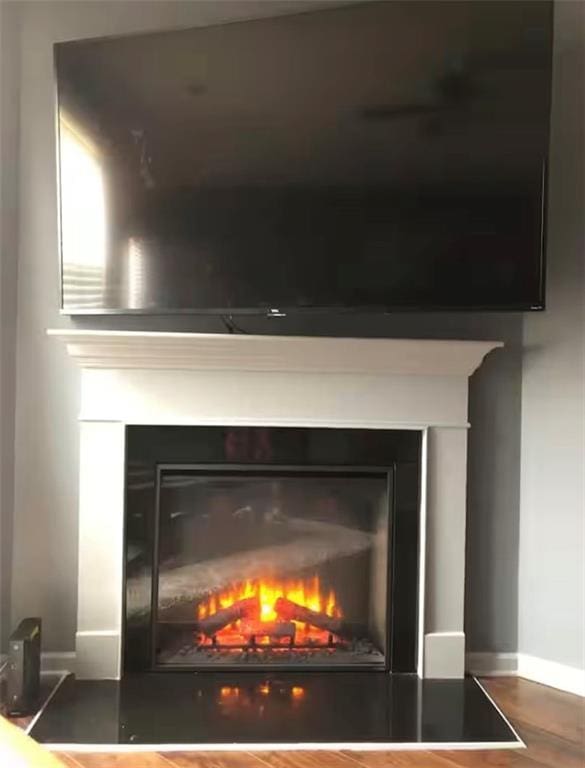 11547 Hathaway Dr, Hampton, GA 30228 - detailed view of a glass covered fireplace and wood finished floors