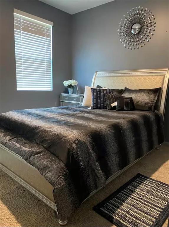 11547 Hathaway Dr, Hampton, GA 30228 - view of carpeted bedroom