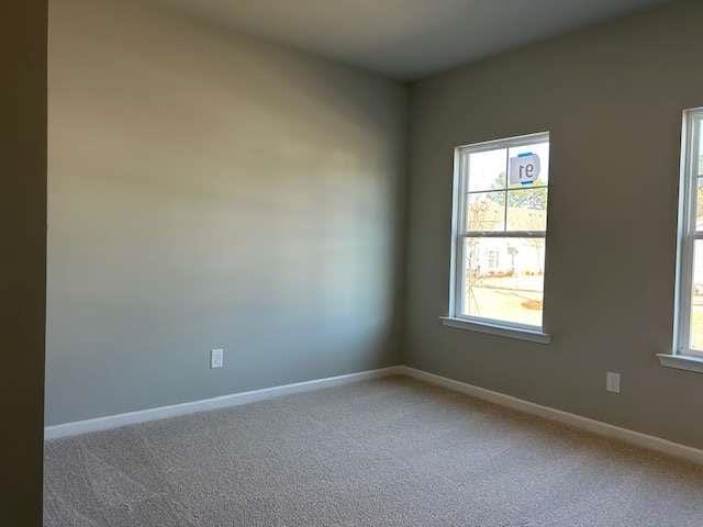 spare room with carpet floors and a healthy amount of sunlight