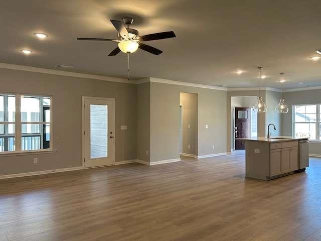 kitchen featuring pendant lighting, dark hardwood / wood-style floors, sink, and a kitchen island with sink