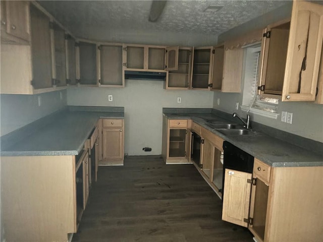 kitchen with a textured ceiling, dark wood finished floors, and a sink