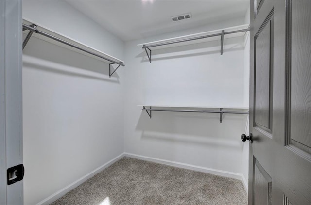380 Inman Rd, Fayetteville, GA 30215 - walk in closet with carpet floors