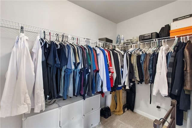 216 Orchard Trl, Canton, GA 30115 - spacious closet with carpet