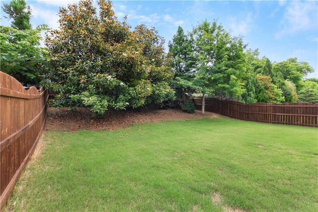 216 Orchard Trl, Canton, GA 30115 - view of yard