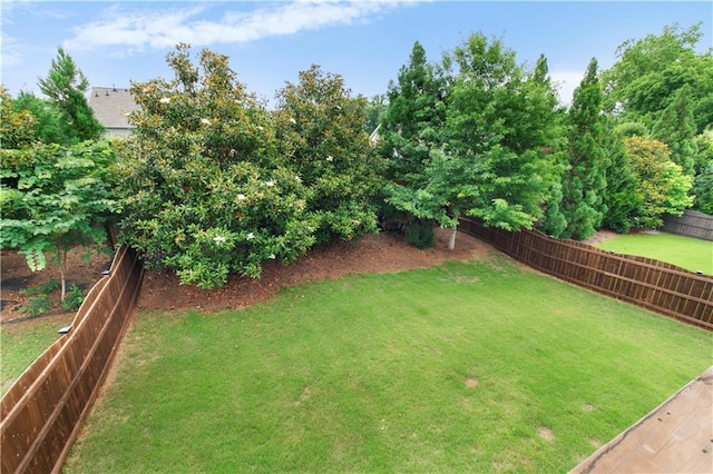 216 Orchard Trl, Canton, GA 30115 - view of yard