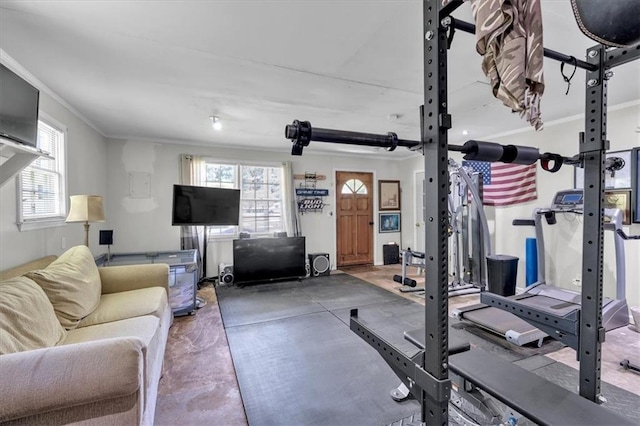 1238 Macland Rd, Dallas, GA 30132 - exercise room featuring ornamental molding