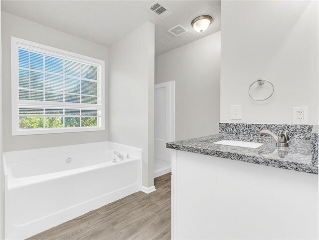 2146 Silva Ct, Conley, GA 30288 - bathroom featuring wood finished floors, a garden tub, baseboards, and vanity