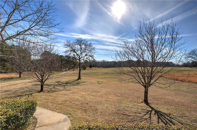 view of yard featuring a rural view