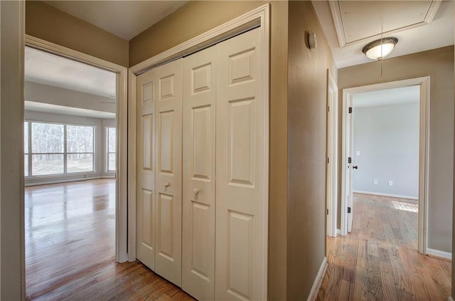 hall featuring light hardwood / wood-style flooring