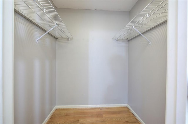 spacious closet featuring wood-type flooring