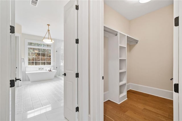 walk in closet with wood finished floors and visible vents